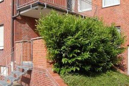 Wohnung Drensteinfurt - 3 Zimmer, 80 m&sup2;, 520&euro; | Angebot:25567637