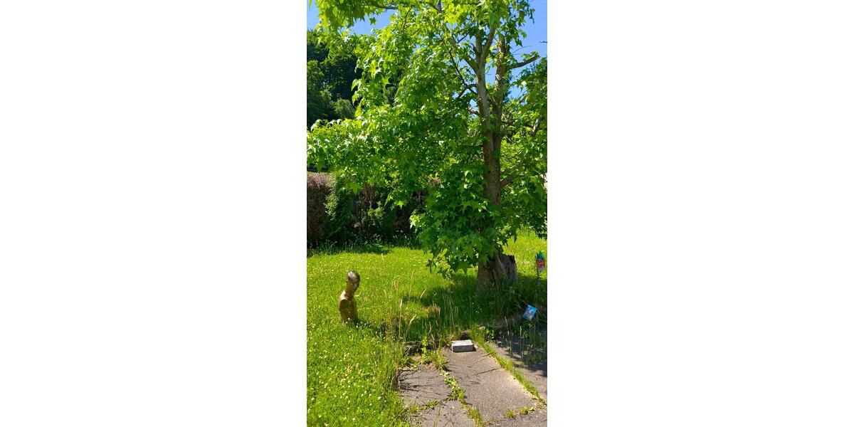 Einfamilienhaus Möhnesee - 2 Zimmer, 36 m&sup2;, 64.800&euro; | Angebot:25809260