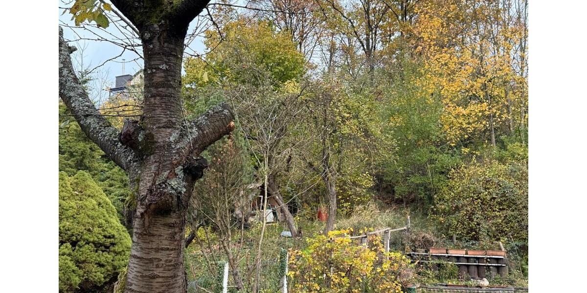 Charmantes Reihenmittelhaus in Menden inkl. 556 m² Grundstück 6 zimmer