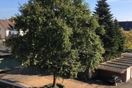 Zentral gelegene 3-Zimmer Wohnung in Hamm zu vermieten 3 zimmer