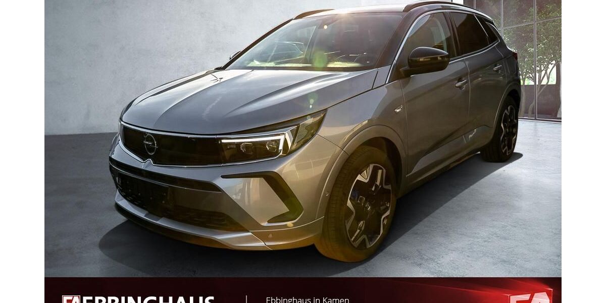 Opel Grandland (X) 75.638 km 19.899 &euro; Kamen 59174