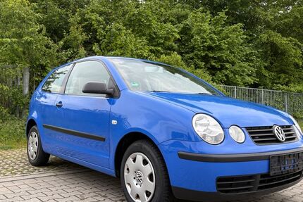 VW Polo 168.000 km 1.490 &euro; Hamm 59077
