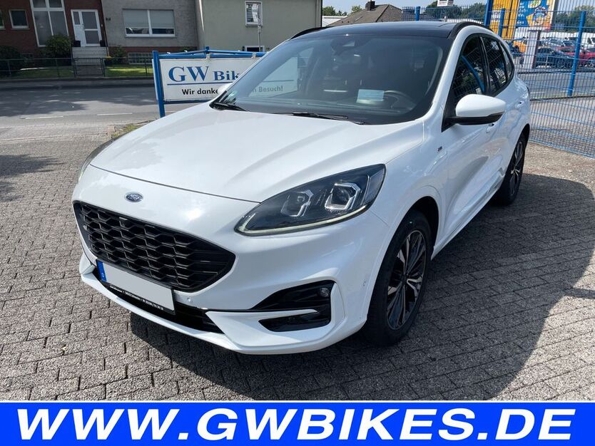 Kuga