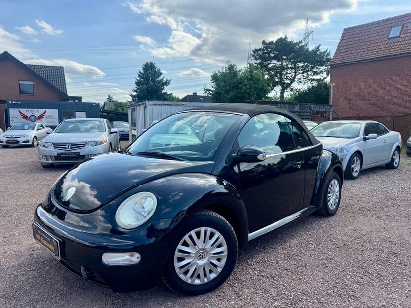 Beetle