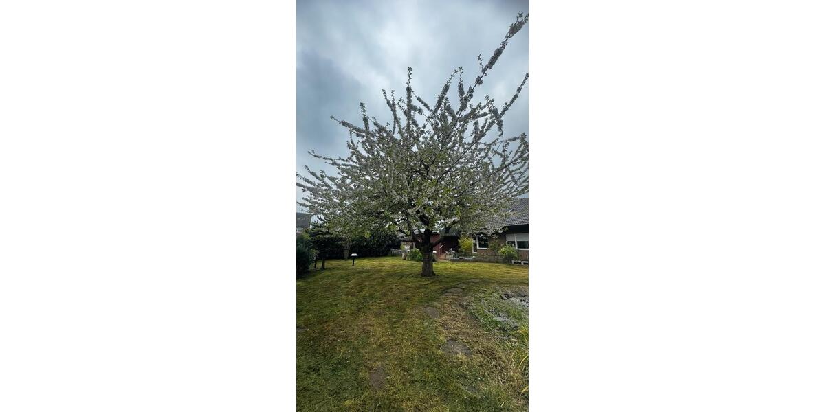 Großzügiges Einfamilienhaus in ruhiger Lage von Herbern 8 zimmer