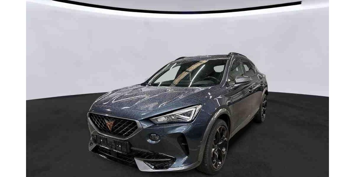 Cupra Formentor 128.402 km 24.247 &euro; Hamm 59067