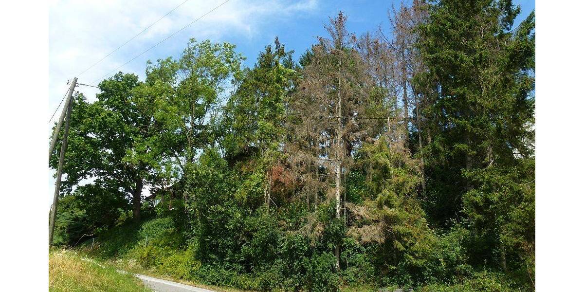 Grundstück Menden Asbeck - 48.000&euro; | Angebot:26119388