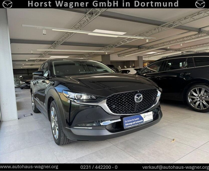 CX-30
