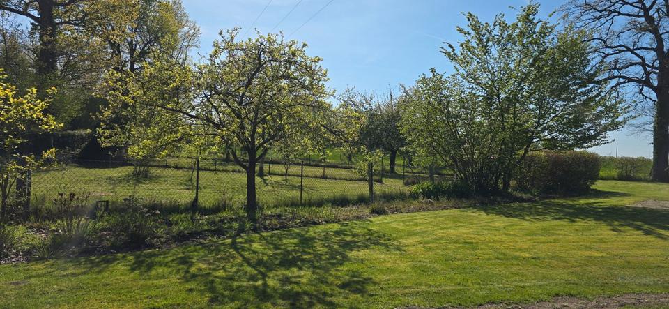 Einfamilienhaus Ennigerloh - 595.000&euro; | Angebot:26337554