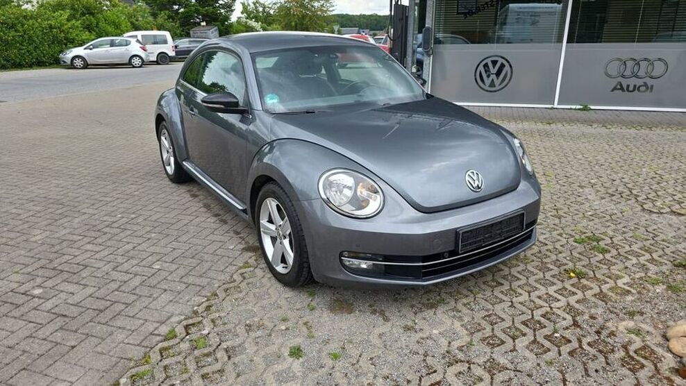 Beetle