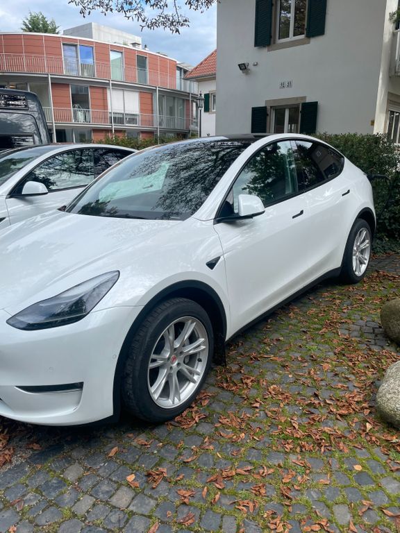 Model Y