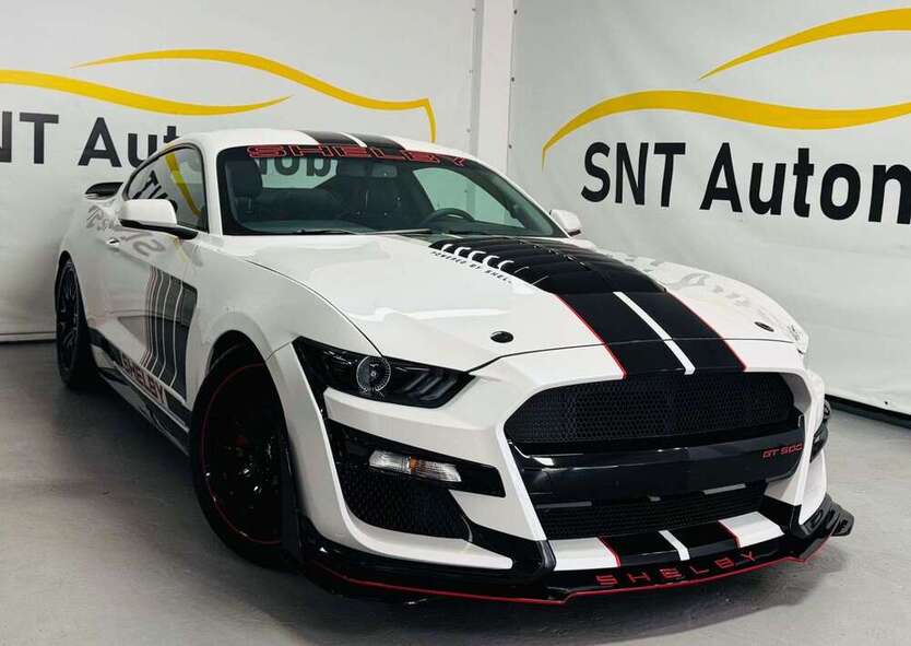 Mustang