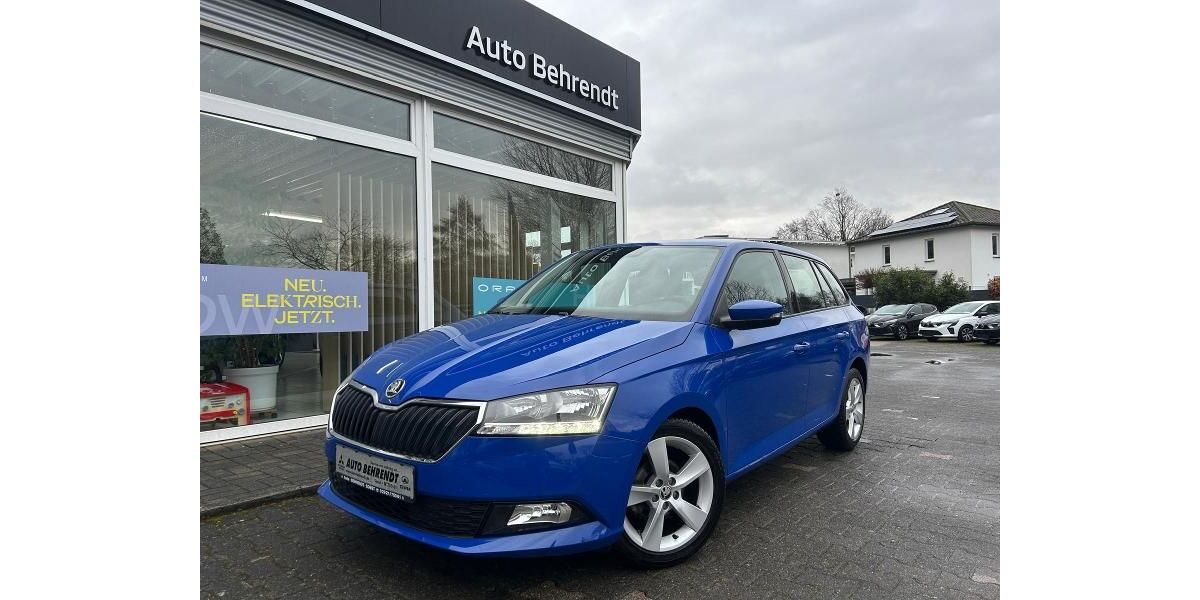 Skoda Fabia 25.873 km 14.790 &euro; Soest 59494