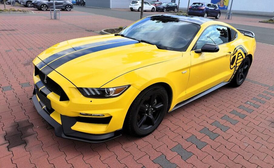 Mustang