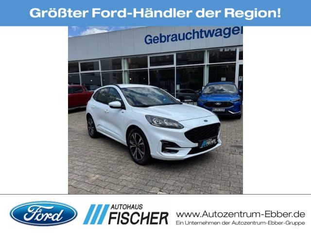 Kuga