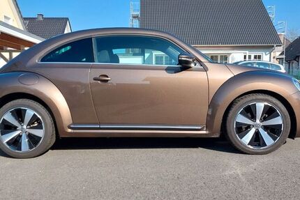 VW Beetle