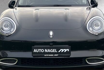 ORA Funky Cat 16.308 km 16.900 &euro; Hamm 59067