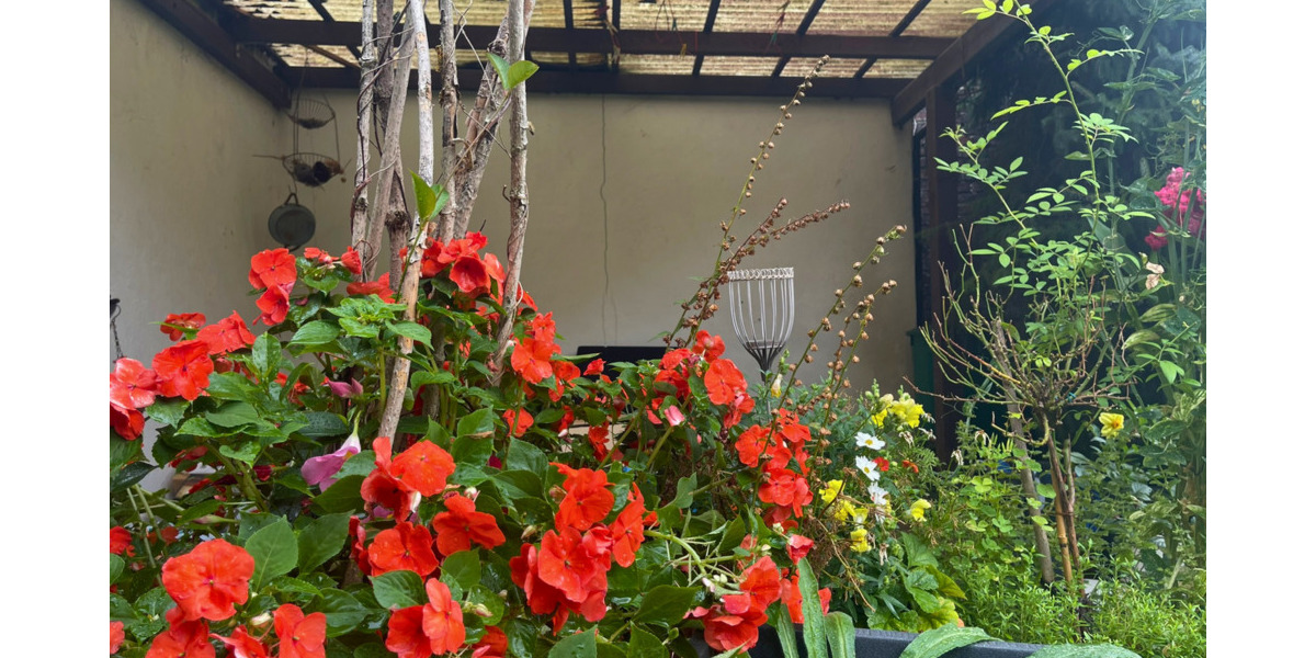 Doppelhaushälfte Menden (Sauerland) Mitte - 7 Zimmer, 122 m&sup2;, 229.000&euro; | Angebot:24234496