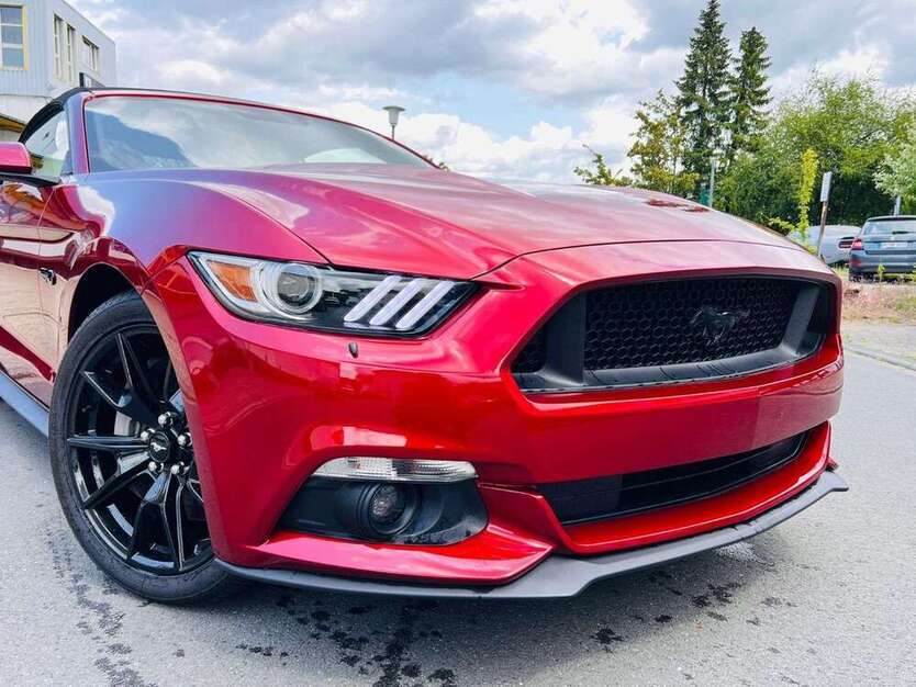 Mustang