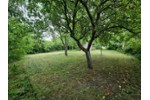 Doppelhaushälfte Hamm Braam-Ostwennemar - 7 Zimmer, 240 m&sup2;, 295.000&euro; | Angebot:27251603