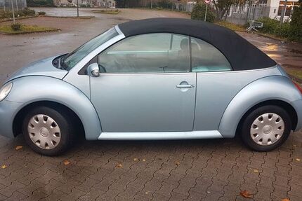 VW Beetle