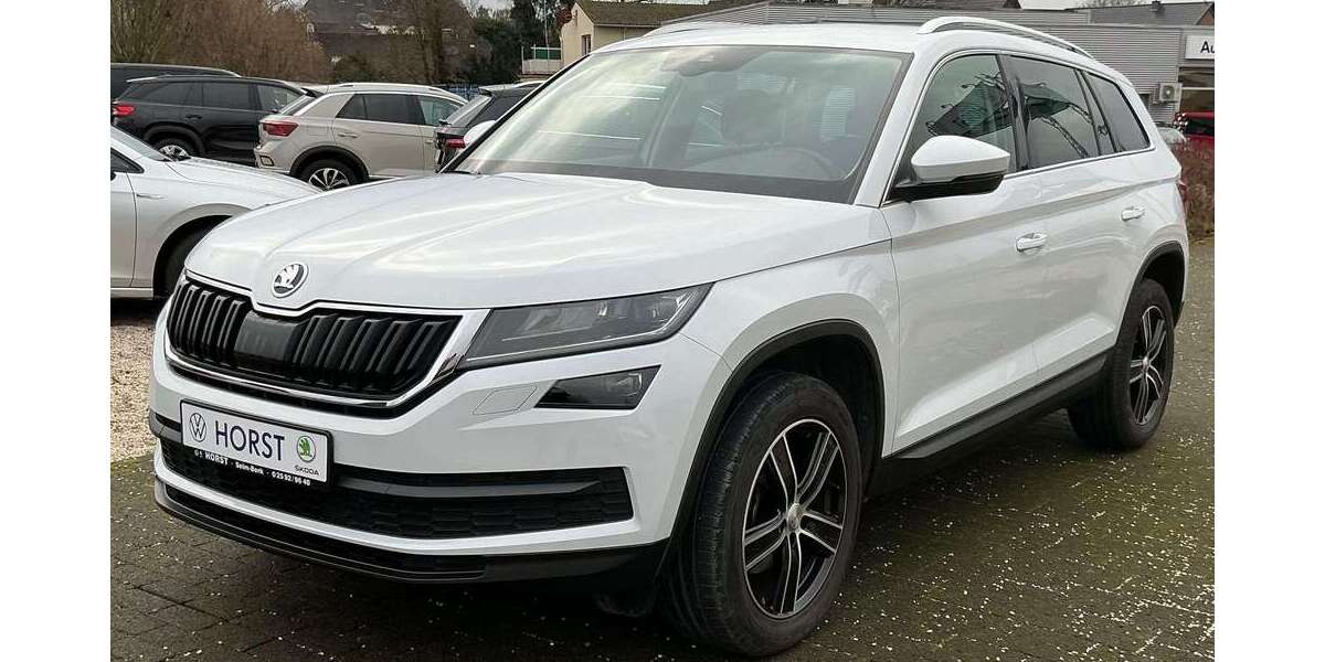 Skoda Kodiaq 125.853 km 16.980 &euro; Selm 59379