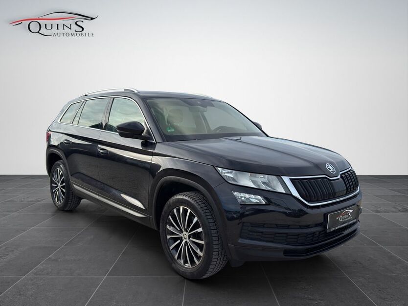 Skoda Kodiaq 169.487 km 22.890 € Everswinkel 48351