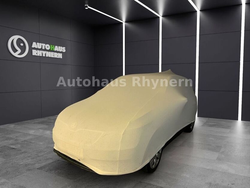 EcoSport