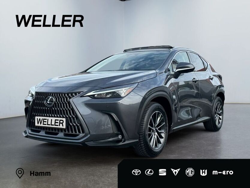 NX 350h