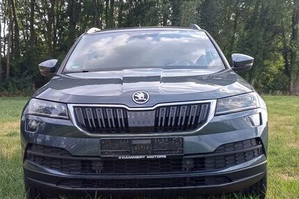 Skoda Karoq 99.513 km 18.199 &euro; Hamm 59069