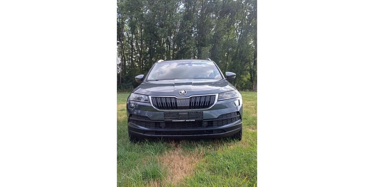 Skoda Karoq 99.513 km 18.199 &euro; Hamm 59069