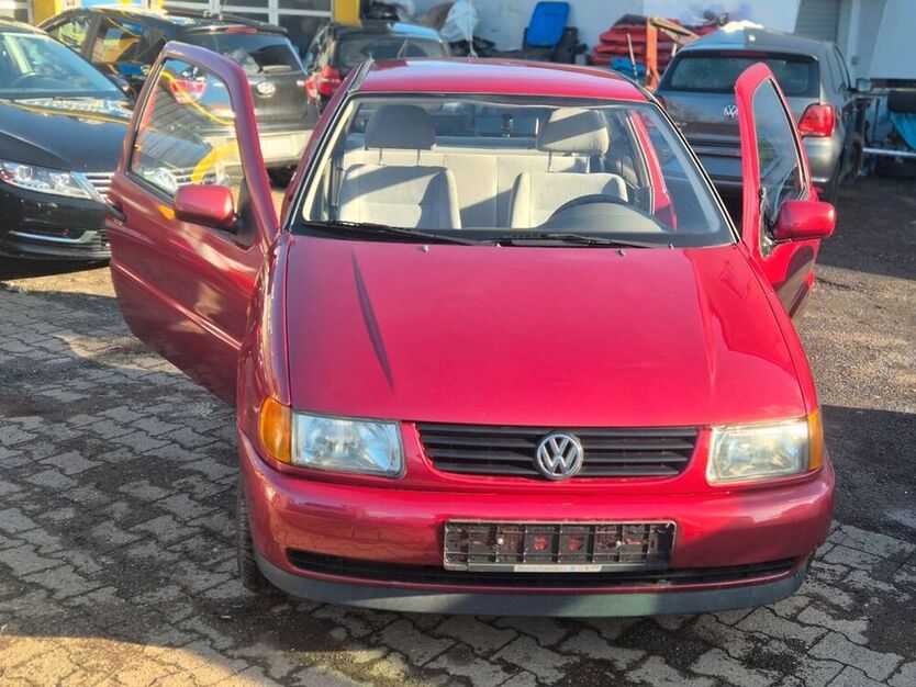Polo