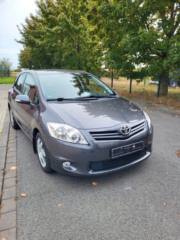 Auris