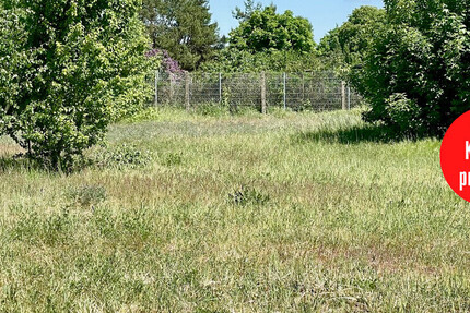 HORN ImmobilieN ++ Torgelow Grundstück in guter Lage mit 1.600 m²