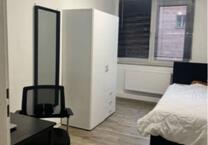 A 3-WG Female Apartment