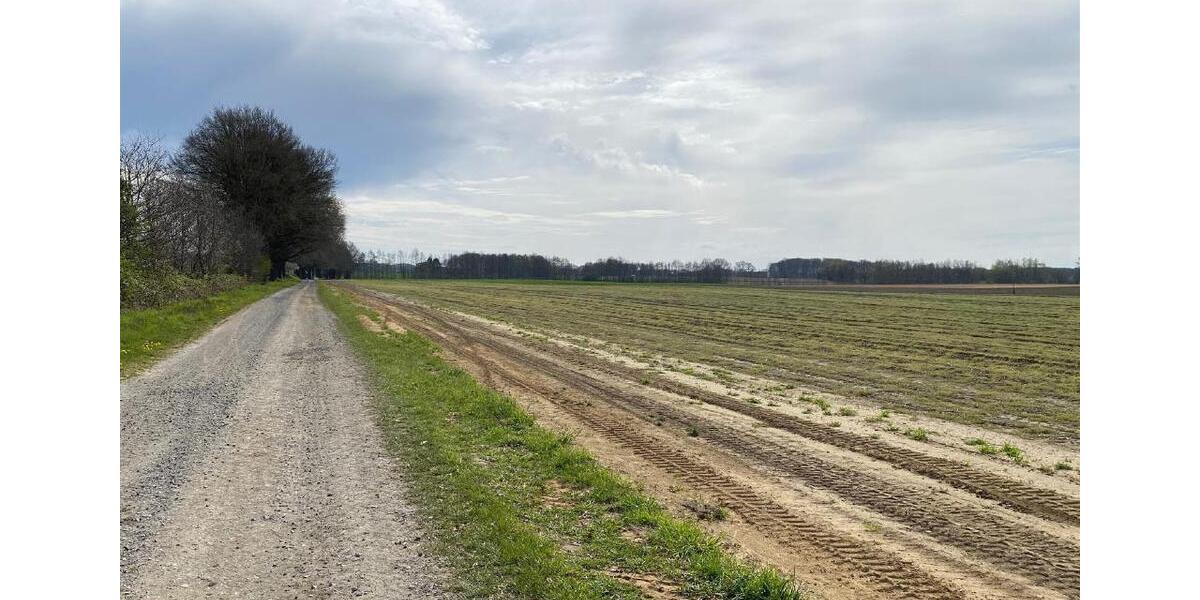 Gewerbeobjekt Lüdinghausen - 11&euro; | Angebot:26105107