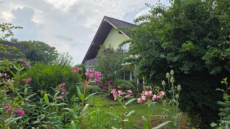 Wohnparadies im Grünen in Südkamen 2 zimmer