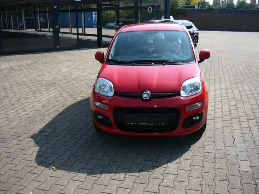 Panda