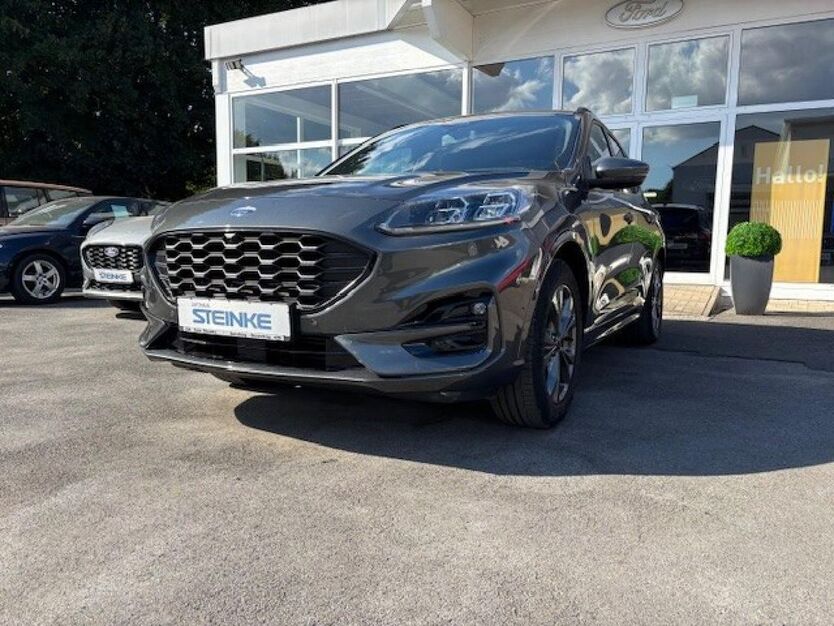 Kuga