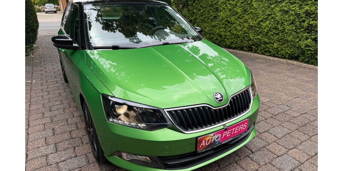 Skoda Fabia 141.000 km 6.580 &euro; Bergkamen 59192