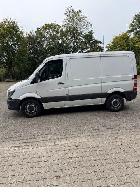 Sprinter