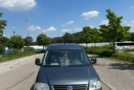 VW Caddy Maxi