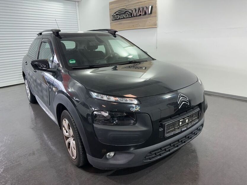 C4 Cactus