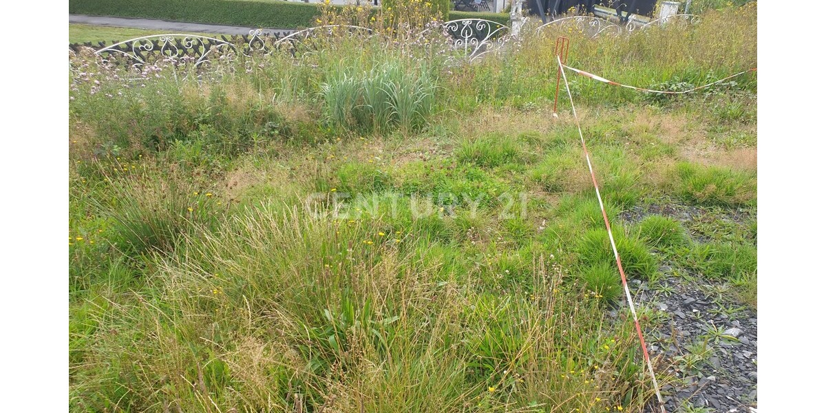 Grundstück in ruhiger Lage zimmer