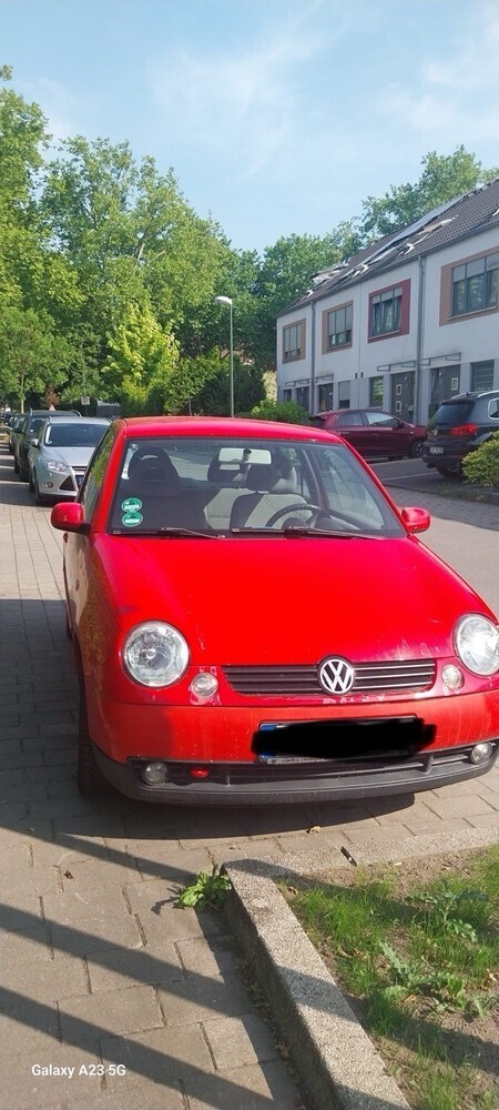 Lupo