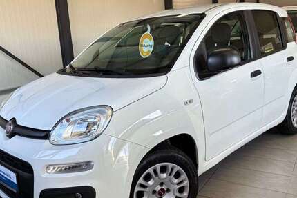 Fiat Panda 42.000 km 7.489 &euro; Holzwickede 59439