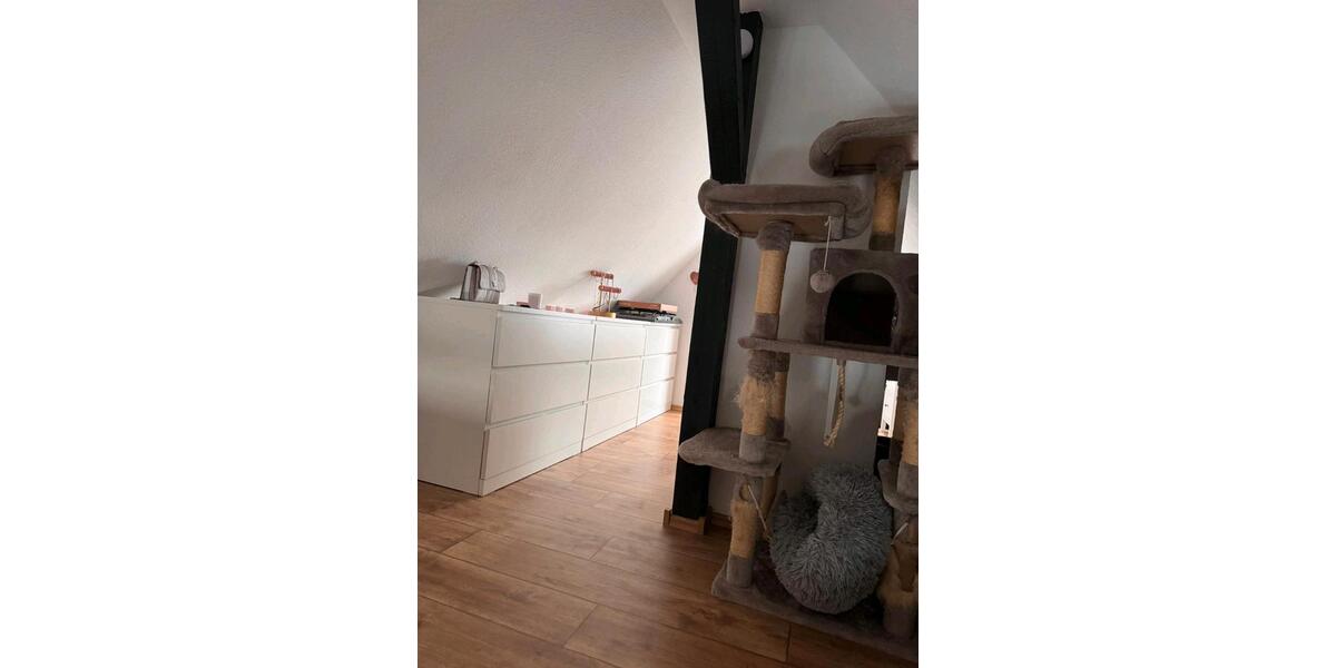 Dachgeschoss Wohnung 1.5 zimmer