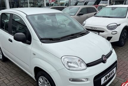 Fiat Panda 13.056 km 9.990 € Münster 48165