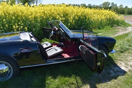 Alfa Romeo Spider 123.456 km 57.000 &euro; Kamen 59174