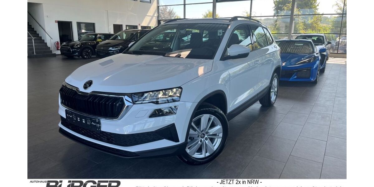 Skoda Karoq 1.100 km 31.970 € Lünen 44536